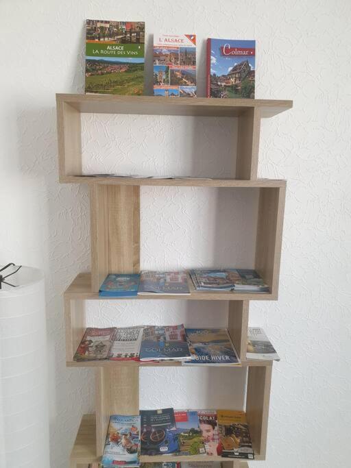 Apartament Le Nid Des Cigognes A Colmar Centre, Proche Gare, Marches De Noel Zewnętrze zdjęcie